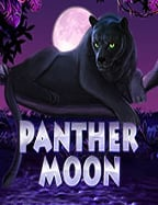 pg วอ เล็ ท ทดลองเล่น เกมสล็อตสุดมันส์