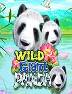 รีวิวสล็อต joker คืน ยอด เสีย: เล่นแล้วคุ้มจริงหรือ?